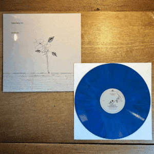Gratitude Blue Marble Vinyl