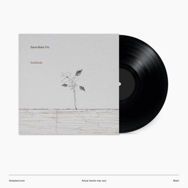 Søren Bebe Trio | Gratitude | 180g Black Vinyl (pre-order)