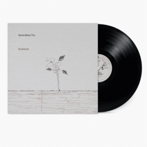 Soren Bebe Trio Gratitude album vinyl version