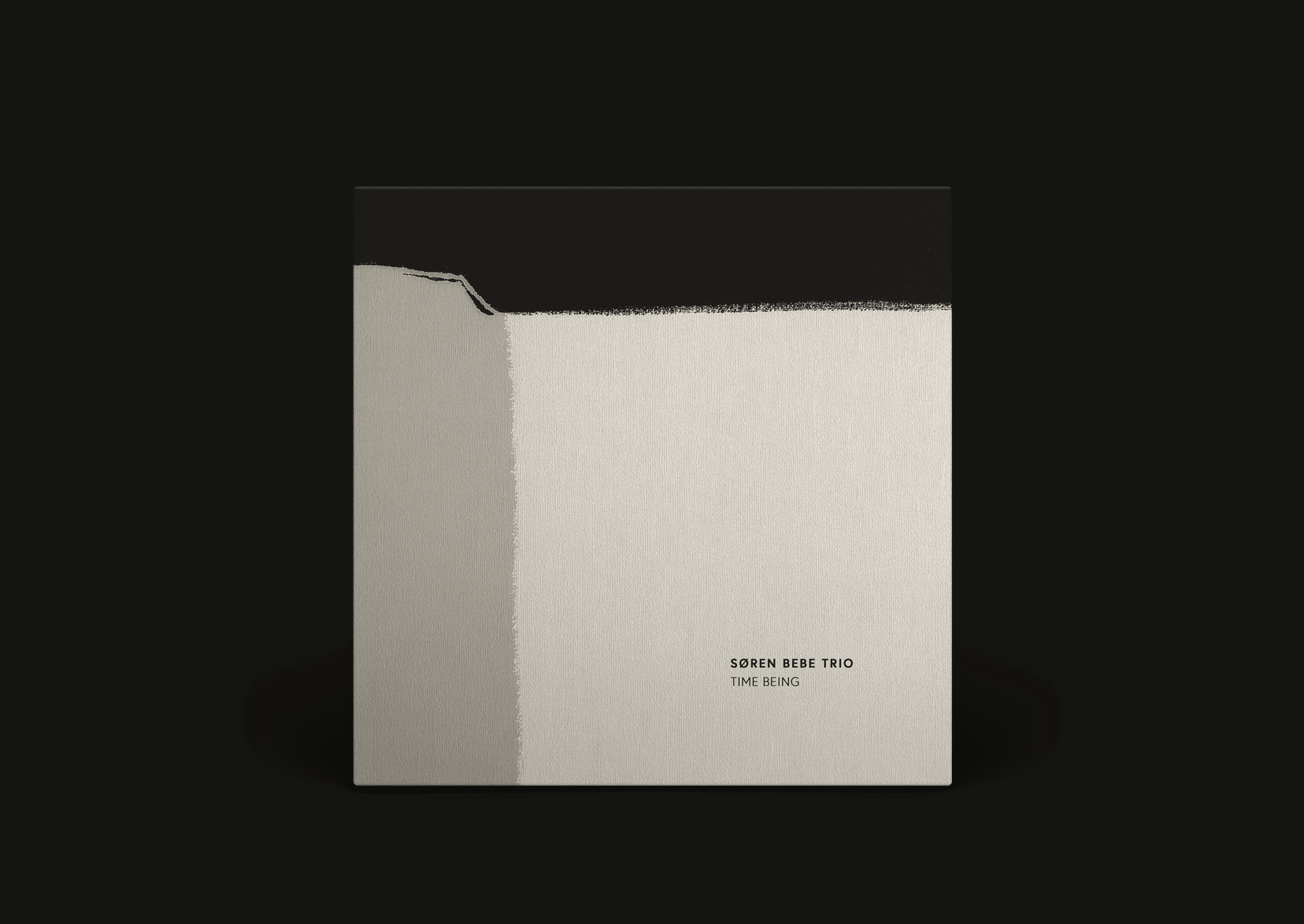 Søren Bebe Trio | Time Being (New 2027 Studio Album) | Your Name in the Album Notes (pre-order) - Image 2